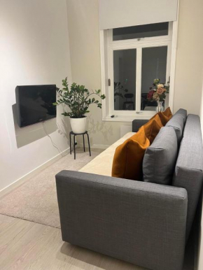 Modern 2BR Apt Near Oslo S - Sleeps 6, New & Cozy